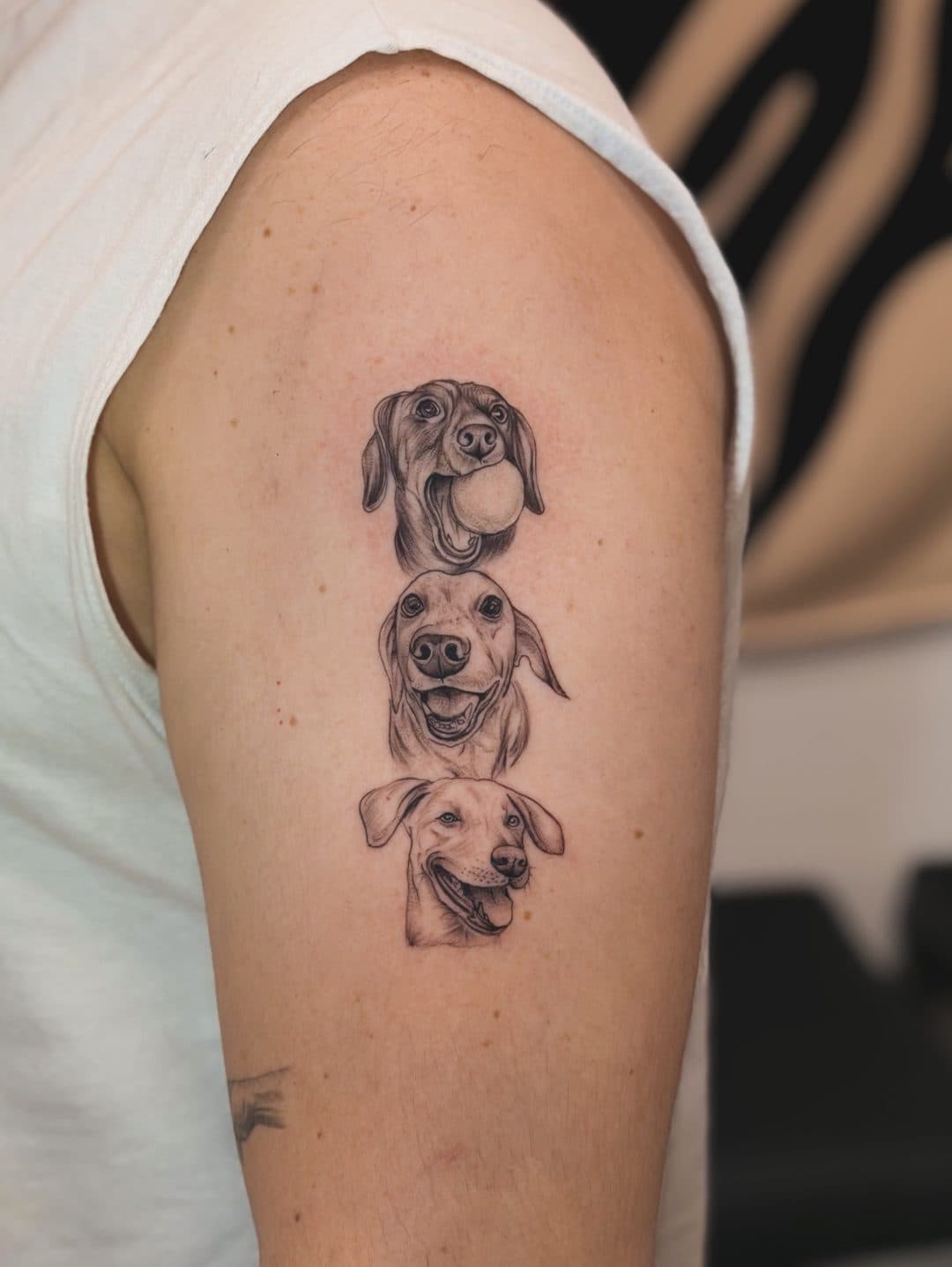 Retratos realistas dos cachorros Luna, Thor e Pico no braço, por Ramon Ximenes